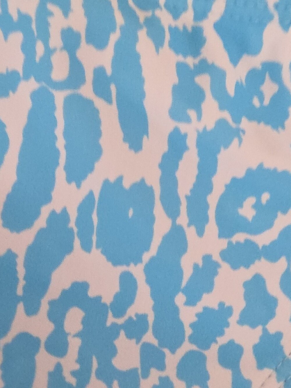 NWOT Women's Blue Leopard Print Two-Piece Swimsuit - Picture 4 of 9